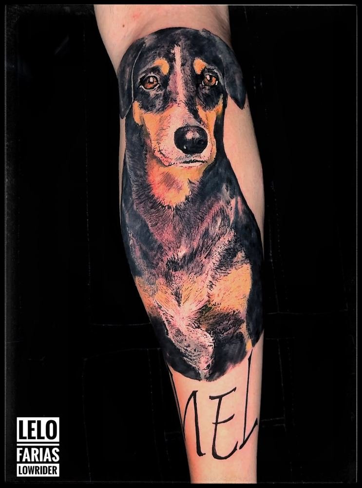 Retrato realista de cachorro na perna, por Lelo Farias, Cariacica